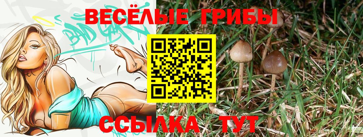 Галлюциногенные грибы MAGIC MUSHROOMS  Псилоцибиновые грибы мицелий  Вход с VPN  Камень-на-Оби 