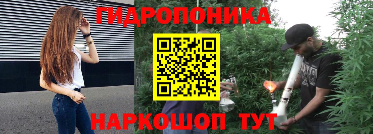 Камень-на-Оби  Конопля MAZAR  Каннабис конопля  Вход с VPN  Канабис Amnesia  Марихуана OG Kush 
